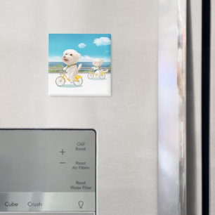 Hunde und Katzen Fahrradfahren am Meer Magnet