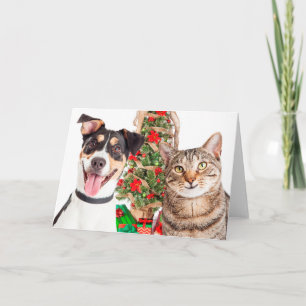 Hunde und Katzen glückliche Ferien Feiertagskarte