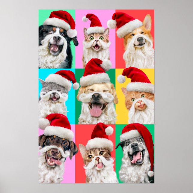 Hunde und Katzen mit Santa Bart Poster (Vorne)