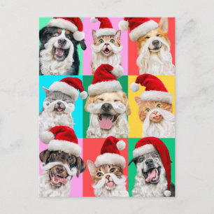 Hunde und Katzen mit Santa Bart Postkarte