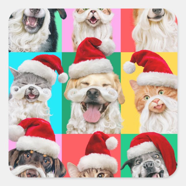 Hunde und Katzen mit Santa Bart Quadratischer Aufkleber (Vorderseite)