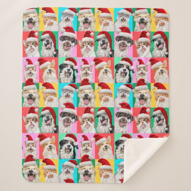 Hunde und Katzen mit Santa Bart Sherpadecke (Vorderseite)