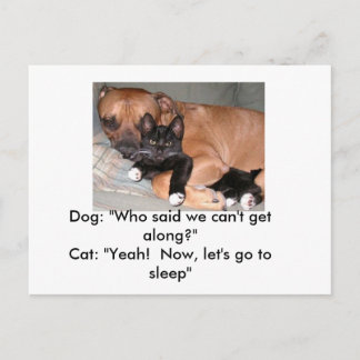 Hunde und Katzen Postkarte