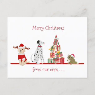 Hunde und Katzen Weihnachten mit Geschenkbaum