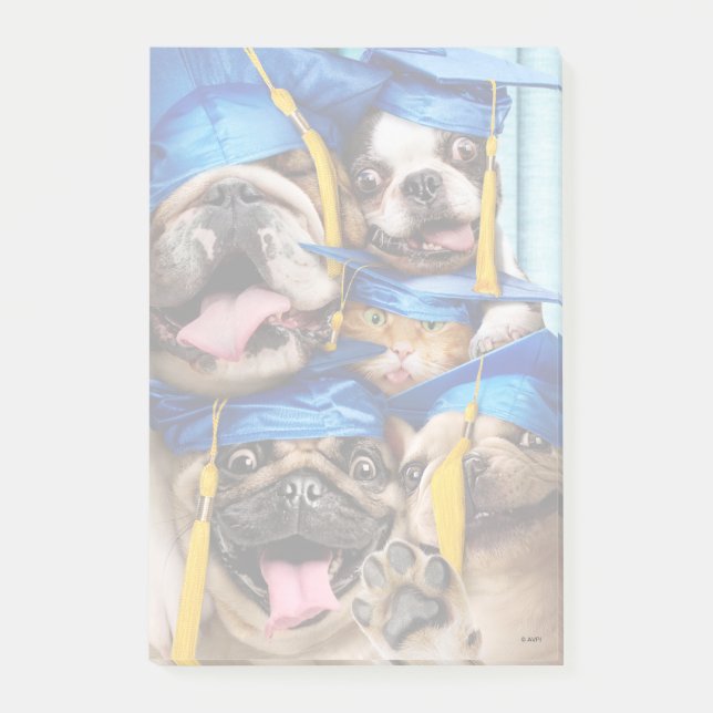 Hunde- und Katzenabsolventen im Fotobooth Post-it Klebezettel (Vorderseite)