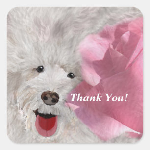 Hunde und Rose Quadratischer Aufkleber