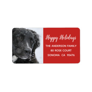 Hunde und Schnee Rücksendeadresse Adressaufkleber