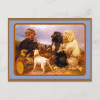 Hunde und Seemann beim Kartenspiel