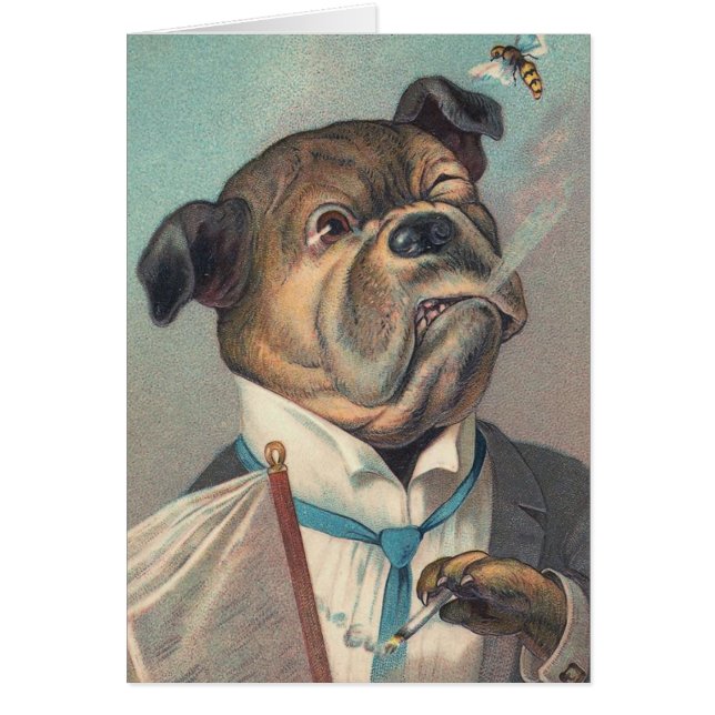 Hunde-und Wespe-Vintage Illustration (Vorne)