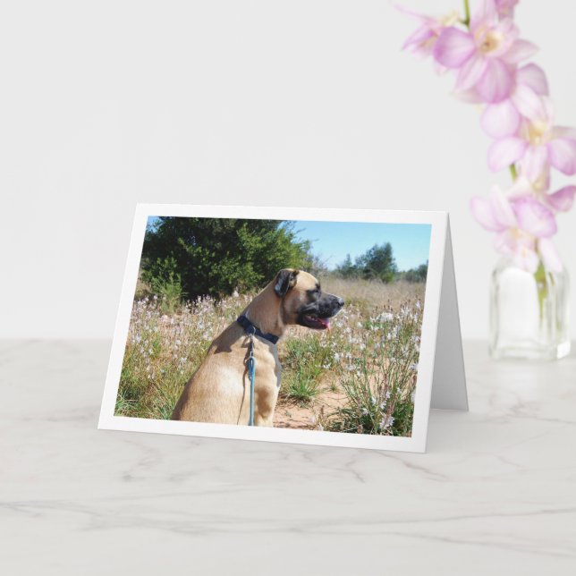 Hunde und Wildblumen Portrait Karte (Orchidee)