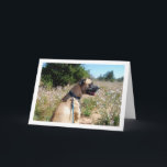 Hunde und Wildblumen Portrait Karte<br><div class="desc">Hund und Wildblumen Portrait Grußkarte. Sie können dieses Produkt ganz einfach kostenlos anpassen,  wenn Sie Text hinzufügen oder die Farbe des Hintergrunds ändern möchten.</div>