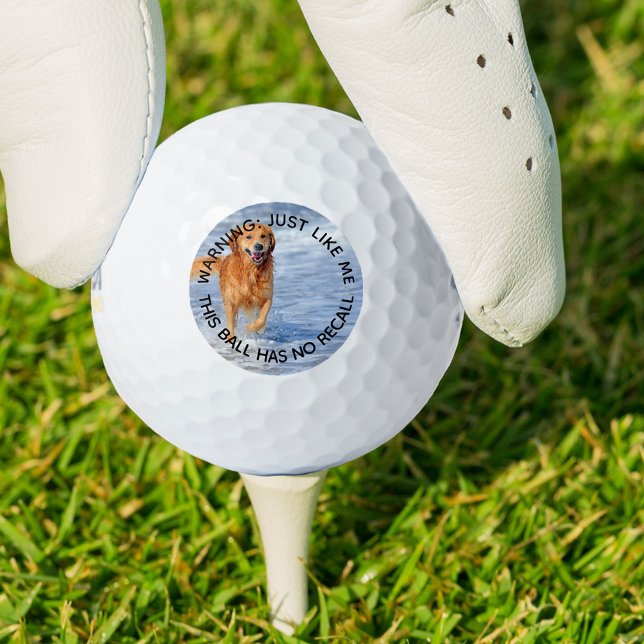 Hunde-Vater, der sich an kein sonniges Foto erinne Golfball (Von Creator hochgeladen)