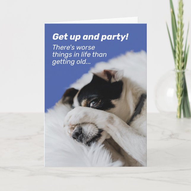 Hunde verstecken Gesicht - es gibt schlimmere Ding Karte (Vorderseite)