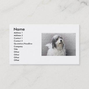 Hunde Visitenkarte
