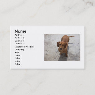 Hunde Visitenkarte