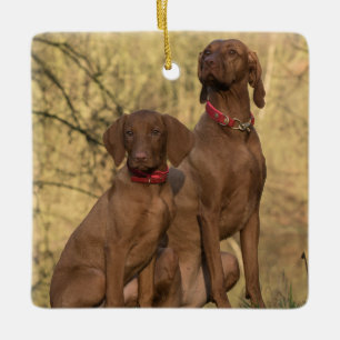 Hunde von Bisla Keramikornament