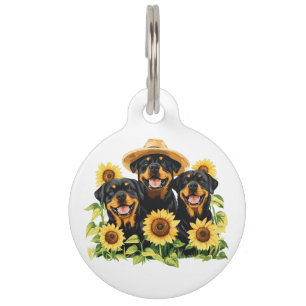 Hunde von Rottweiler, umgeben von Sonnenblumen Haustiermarke