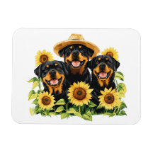 Hunde von Rottweiler, umgeben von Sonnenblumen