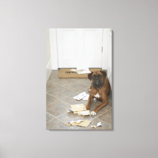 Hunde vor der Haustür liegen und Post kauen Leinwanddruck