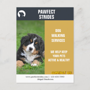 Hunde Walker Business Marketing Postkarte