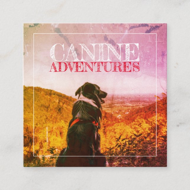 Hunde Walker und Hunde Abenteuer texturiert Glühen Quadratische Visitenkarte (Vorderseite)