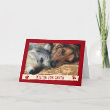 Hunde warten auf den Weihnachtsmann - Lustige Kart