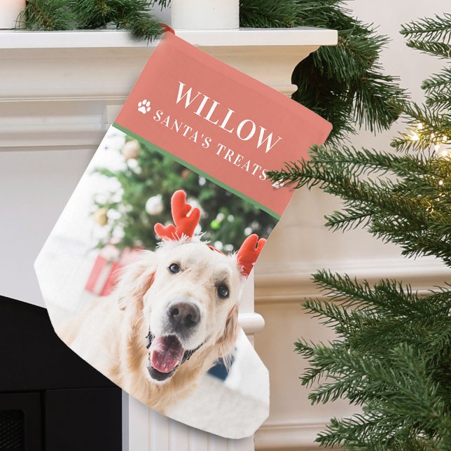 Hunde Weihnachten Foto Modernes Kleiner Weihnachtsstrumpf (Dog Christmas Photo Modern Small Christmas Stocking)