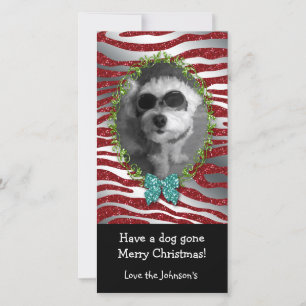Hunde Weihnachten Niedliches Foto Rahmen Zebra Gli