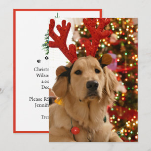 Hunde-Weihnachts-Spielgruppe Fellfreunde Feiertagskarte