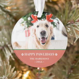 Hunde-Weihnachtsfoto Frohe Pfotentage Ornament