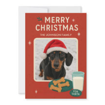 Hunde-Weihnachtsplätzchen-Weihnachtskarte