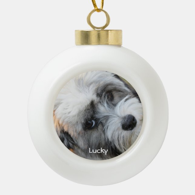 Hunde Weihnachtsschmuck Keramik Ball Custom Foto Keramik Kugel-Ornament (Vorderseite)