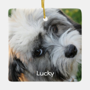 Hunde Weihnachtsschmuck Square Keramik Foto