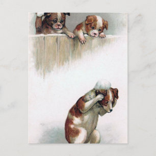 "Hunde, welche die Schneebälle" Vintag spielen Postkarte