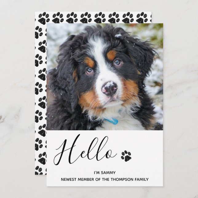 Hunde Welpe - Ankündigung (Vorne/Hinten)