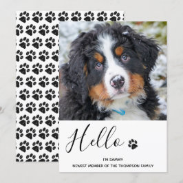 Hunde Welpe - Ankündigung