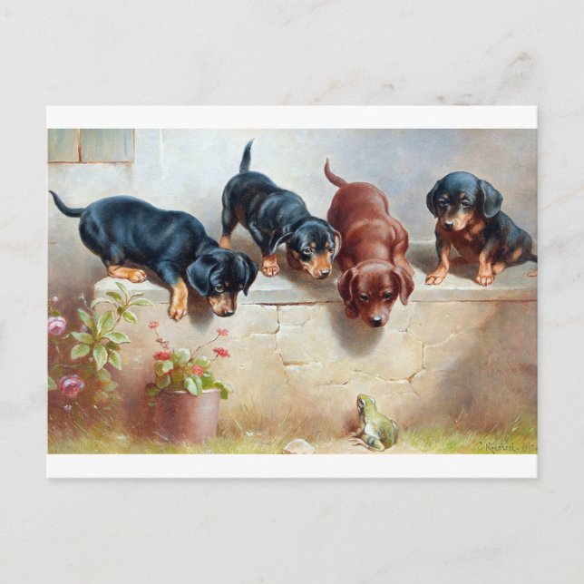 Hunde Welpen Frog Vintage Illustration Postkarte (Vorderseite)