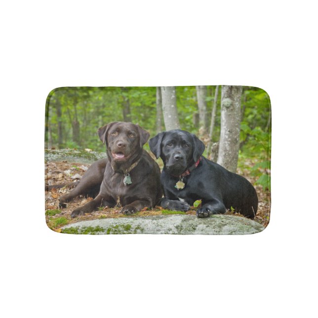 Hunde Welpen Schwarzes Labor Schokolade Labrador R Badematte (Vorderseite)