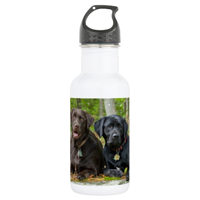 Hunde Welpen Schwarzes Labor Schokolade Labrador R Edelstahlflasche (Vorderseite)