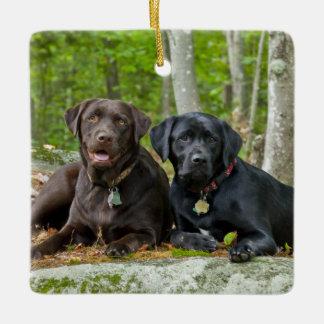 Hunde Welpen Schwarzes Labor Schokolade Labrador R Keramikornament
