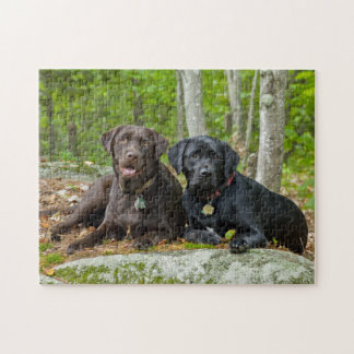 Hunde Welpen Schwarzes Labor Schokolade Labrador R Puzzle
