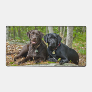 Hunde Welpen Schwarzes Labor Schokolade Labrador R Schreibtischunterlage