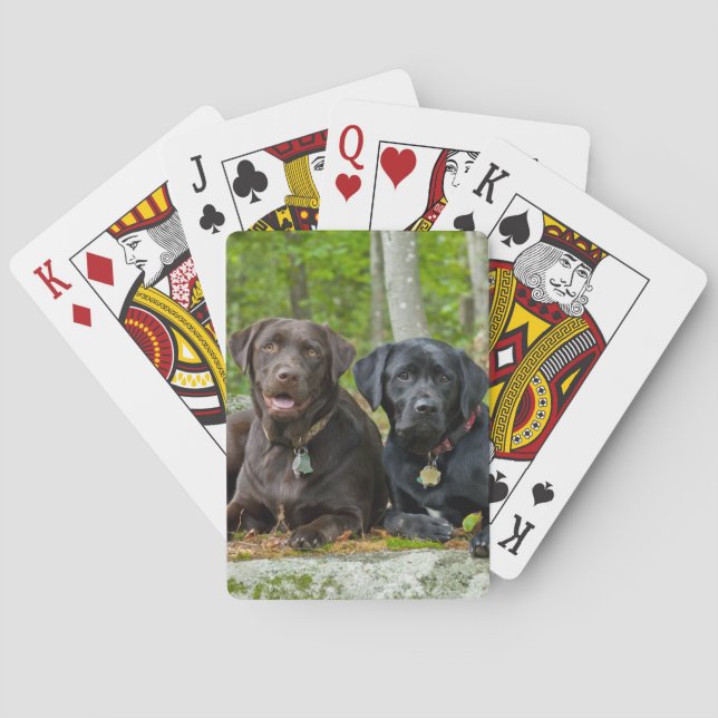 Hunde Welpen Schwarzes Labor Schokolade Labrador R Spielkarten (Rückseite)