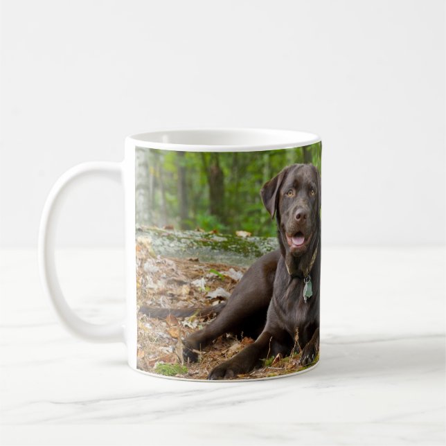 Hunde Welpen Schwarzes Labor Schokolade Labrador R Tasse (Links)