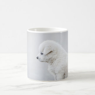Hunde Welpen Tier einsam Kaffeetasse