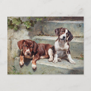 Hunde Welpen Vintage Alt Postkarte