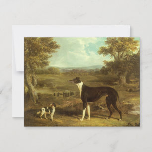 Hunde, Windhund und Spaniel, Doctor Fop by Herring