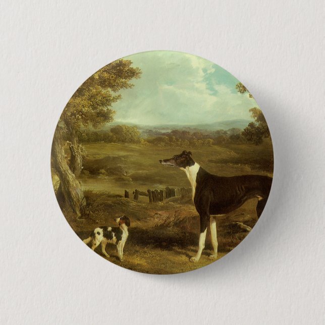 Hunde, Windhund und Spaniel, Doctor Fop by Herring Button (Vorderseite)