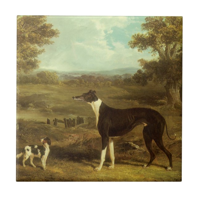 Hunde, Windhund und Spaniel, Doctor Fop by Herring Fliese (Vorderseite)