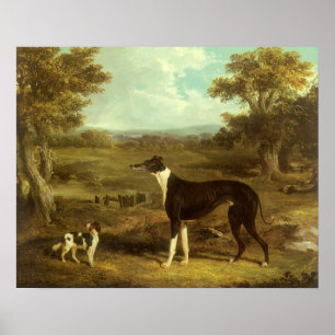 Hunde, Windhund und Spaniel, Doctor Fop by Herring Poster